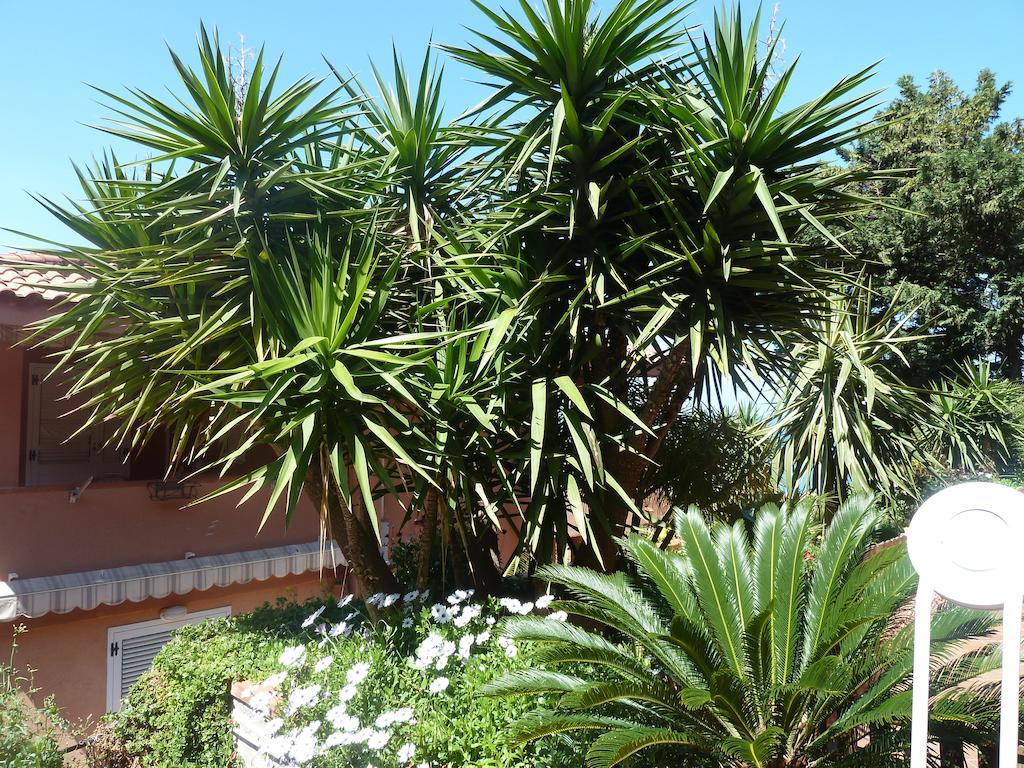 B&B Villa Di Giorgi Cefalu Luaran gambar