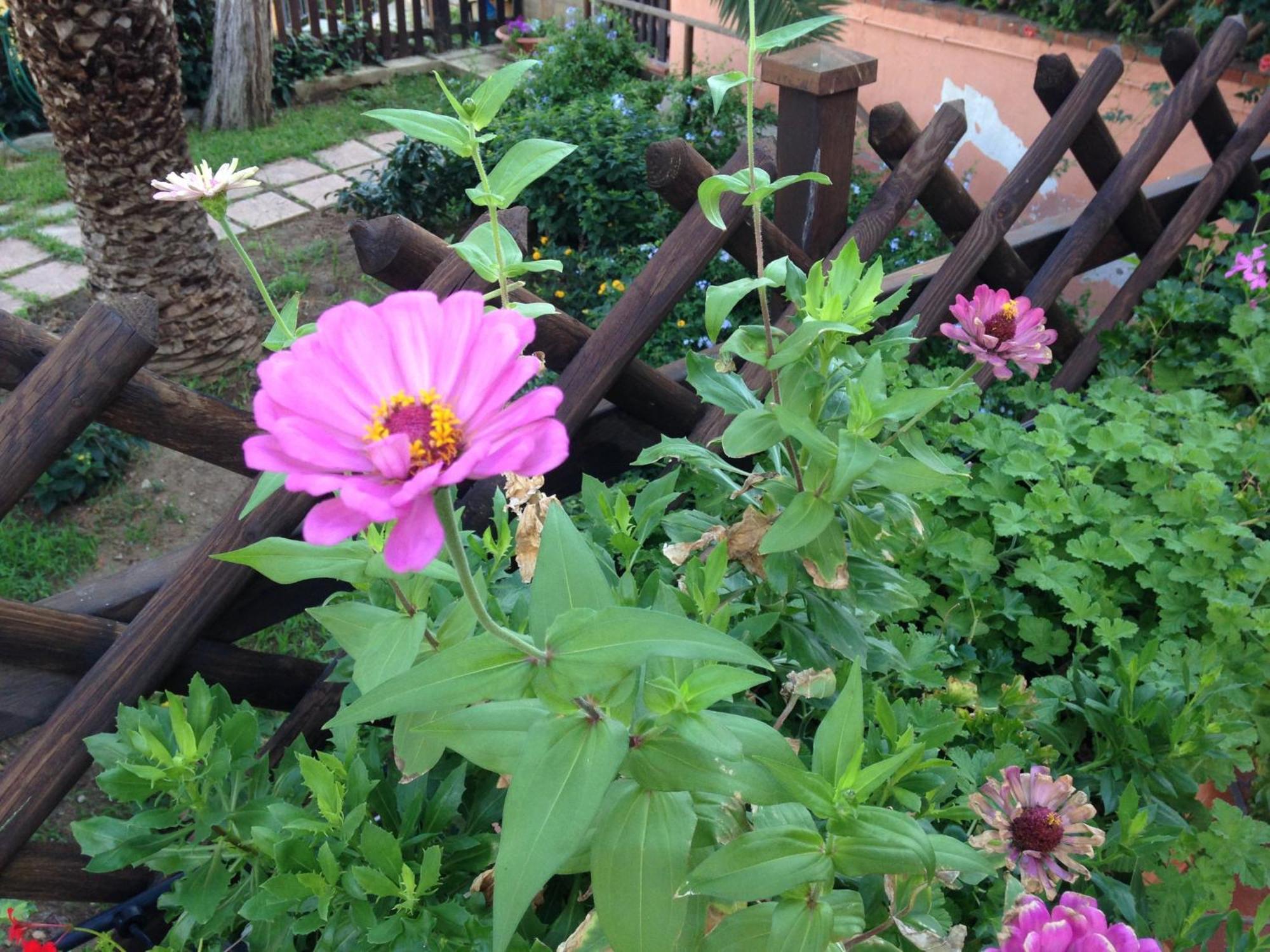 B&B Villa Di Giorgi Cefalu Luaran gambar